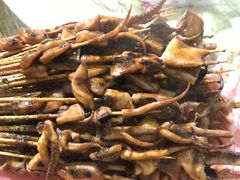 -十里铺铁板鱿鱼