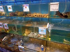 水产区-范饭椰林川湘味海鲜·椰子鸡(三亚湾椰梦长廊店)