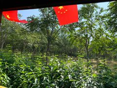 -西青郊野公园