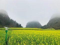 -牛街螺丝田
