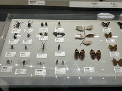 -四川大学博物馆