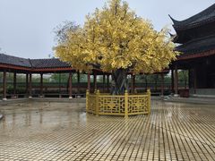 -广东圆玄道观
