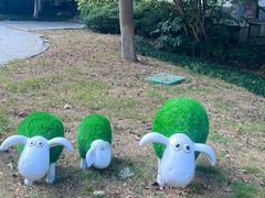 -金鸡湖桃花岛