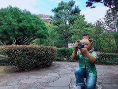 -济州岛泰迪熊博物馆