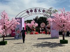 -苏州太湖国家湿地公园