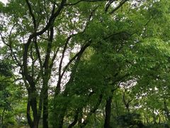 -徐家汇源景区-衡山公园