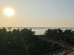 -宝安西湾红树林湿地公园