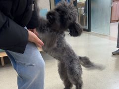 -爱派特动物医院·全科诊疗中心