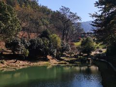 -桃花岭景区