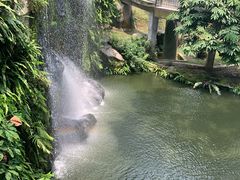 -吉隆坡雀鸟公园