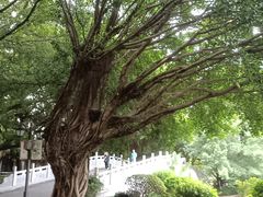 -西湖公园(鼓楼区)
