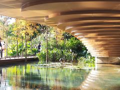 -云溪植物园