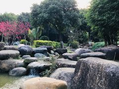 -八仙山公园