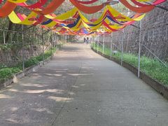 -北京十三陵国家森林公园蟒山景区