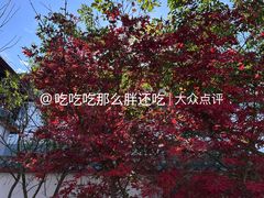 -莆田南少林寺