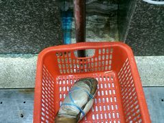 -蚝专家(北滘店)