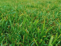 -重庆中央公园(渝北区)