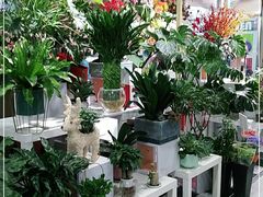 -金鹰超市(国际购物中心新街口店)