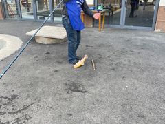 -可心烤鱼