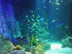 -沈阳海洋探索中心