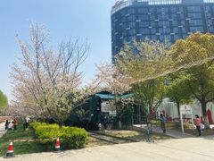 -新天地活力PARK