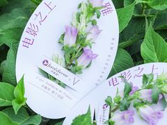 -成都当代影像馆