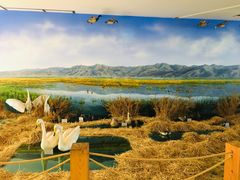 -延庆地质公园博物馆