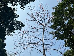 -深圳国际园林花卉博览园