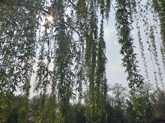 -济南大明湖景区