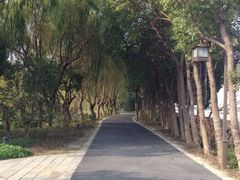 浦江之首-浦江之首