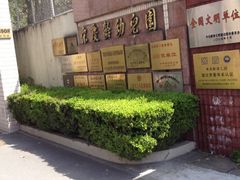 -宋庆龄幼儿园(虹梅路)