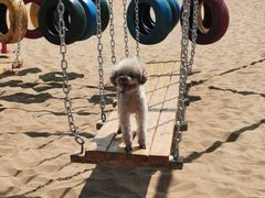 -亿利库布其七星湖沙漠生态旅游区