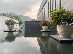 -三亚太阳湾柏悦酒店