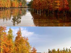 -白鹭湾湿地公园