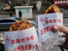 -半月镰胡姐脆皮萝卜饺子