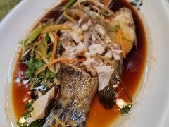 -掌勺人鱼馆(朝阳镇店)