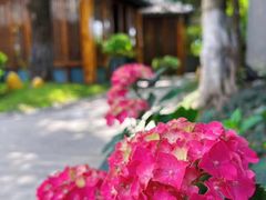 -大妙火锅·非物质文化遗产(东湖公园店)