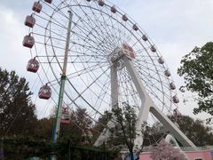 -东湖磨山景区