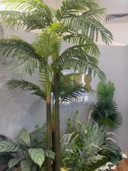 -八佰伴8008星级形象店