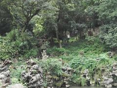 -伯先公园