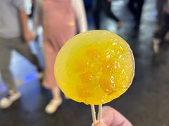 -四川农业大学(雅安校区)