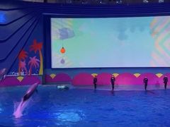 -南昌融创海世界