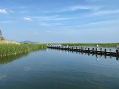 -太湖湖滨国家湿地公园-停车场