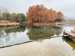 -巡塘古镇