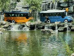 -北京野生动物园