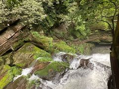-中国大熊猫保护研究中心雅安碧峰峡基地