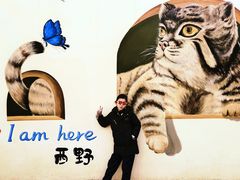 -青藏高原野生动物园
