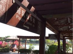 -三亚亚龙湾凯莱仙人掌度假酒店