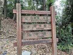 -火炉山森林公园
