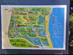 -日照海滨国家森林公园